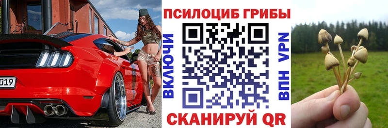 Галлюциногенные грибы Psilocybine cubensis  Нерчинск 